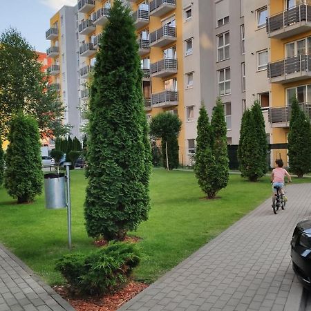 Brasov Kronstadt Garden Studio Экстерьер фото